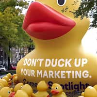Semrush Rubber Ducks Floating on Amsterdam Canal