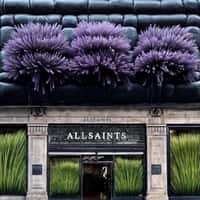 AllSaints Purple Flowers Pop Out of Facade