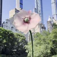 L’Oréal Groupe Prada Flower Blooms in NYC