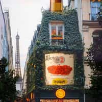 Pasqua Wines Giant Bottle Installation on Store