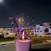 Glade Giant Candle Colors Dar Wasl