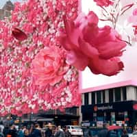 Macy's Flowers Installation on Facade
