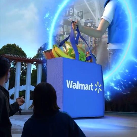 Walmart Giant Shopping Bag Delivered From Portal