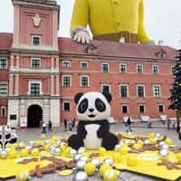 Andersen Giant Christmas Gift with Panda