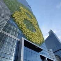 Andersen Yellow Helicopter Airlifts Logo