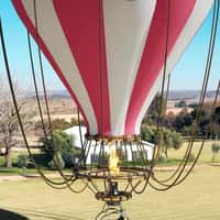LMC Hot Air Balloon Lands with Zebra at Ground The Venue