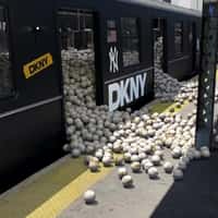 New York Yankees DKNY Train Baseball Avalanche 