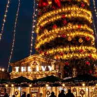 The Ivy Collection Towering Christmas Tree 