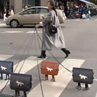 Maison Kitsuné "Edie" Bags Walked Like Dogs