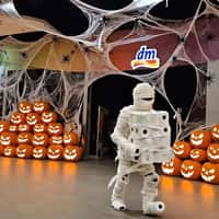 DM Mummy Walks Away with Stacks of Toilet Paper