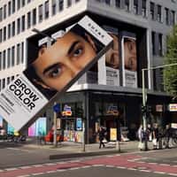 Shyne Model from Brow Color Box Blinks