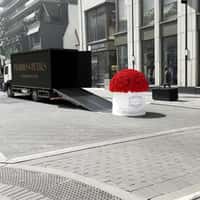 Prairies & Petals Giant Bouquet Slides off Trailer