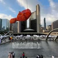 Wingstop Giant Fried Chicken Airlifted Over City