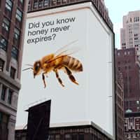 Armedangels Dripping Honey Display on Billboard