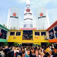 Bacardi Giant Rum and Glasses Atop Casa Bacardi