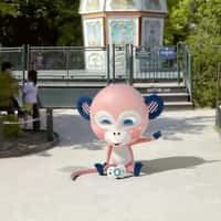 Biolane Monkey Mascot Picks Up Pacifier at Park