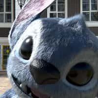 Disney Movies Club Fans Stitch Photobombs Woman