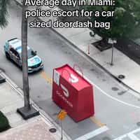 Secret Miami Giant DoorDash Bag on Street