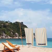 Edgard Opticiens Banner Flies over Beach