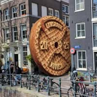 Gymshark Giant Gold Weight Plate in Amsterdam