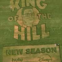 King of the Hill Season Etched in Field
