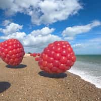 Jo Malone Giant Raspberries Roll at Shore