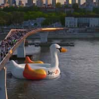 Join UP! Inflatable Swan in the Vistula River