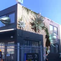 Nxt Museum Giant Flowers Bloom on Building Facade