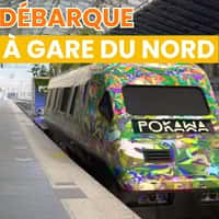 Pokawa Hawaiian Theme Installation on Train