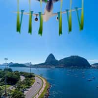 CBG Airplane Flies with Flowing Ribbons