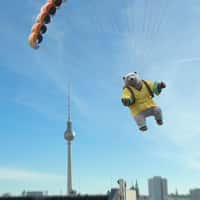 Super Chill Polar Bear Paraglides Through Germany