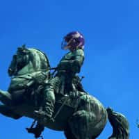 Vienna Vikings Horse Statue in Football Helmet