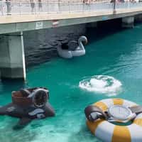 Watches and Wonders Giant Watches on Floats