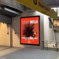 Wella Professionals Red Billboards on São Paulo Buildings