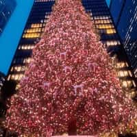 Victoria’s Secret PINK Giant Bow Tops Christmas Tree