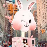 Beauty of Joseon Products Spill in NYC