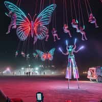 Timon Afinsky People Dangle from Giant Neon Butterflies