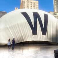 Cubs Giant W Flag Drapes Over Cloud Gate
