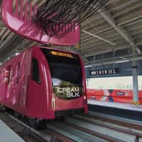 L’Officiel Giant Comb Straightens Tangled Cables