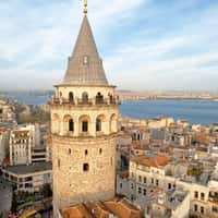 English Home Giant Flowers Sprout from Buildings