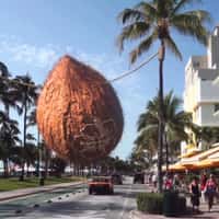 Kulani Kinis Giant Husked Coconut Swing in Miami