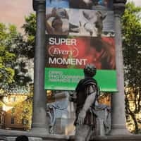 Oppo Roman Statue Comes to Life