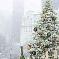 Champagne Delamotte Giant Bottles Stage Christmas Tree