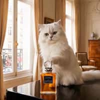 Balenciaga Cat Toys with Perfume Bottle