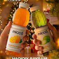 Micco Giant Bottles Form Christmas Tree