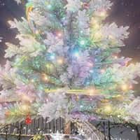 XPENG Christmas Tree Appears From Spark