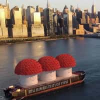 Venus et Fleur Giant Canisters on Hudson River