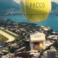 Pacco Giant Tennis Ball Carries Store