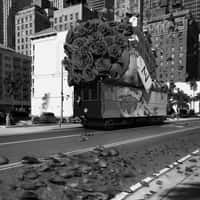 Meshki Giant Bouquet Atop Truck