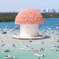 Venus et Fleur Giant Bouquet at Haulover Sandbar